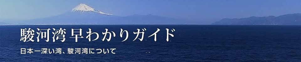 駿河湾 早わかりガイド　日本一深い湾、駿河湾について