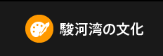 駿河湾の文化