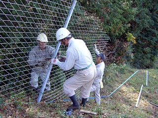 写真：鳥獣害防止柵の直営施工中山間天城地区（伊豆市）