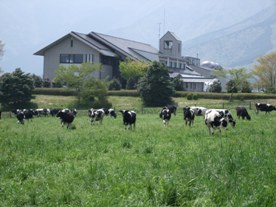 写真:畜産技術研究所研究棟外観