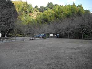 写真:隣接する山原堤公園
