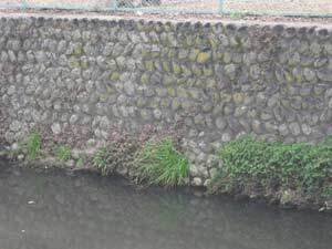 写真:近年では珍しい石積護岸