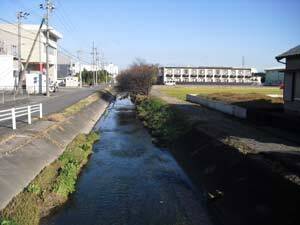 写真:中流部の水路状況