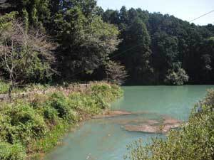 写真:奥山中池(上流部付近)