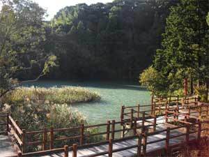 写真:奥山下池(中流から上流部付近)