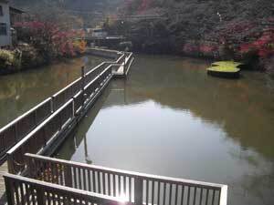 写真:湖面に浮かぶ夢の浮き橋