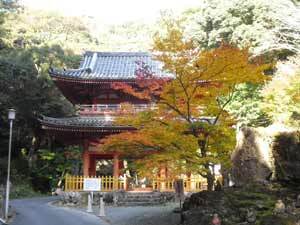 写真:隣接する方広寺の山門