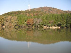 写真:遊歩道より昭和池を望む