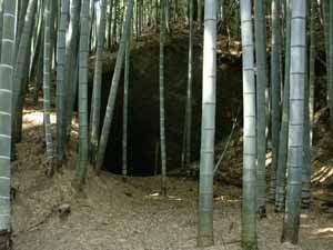 写真:命穴1