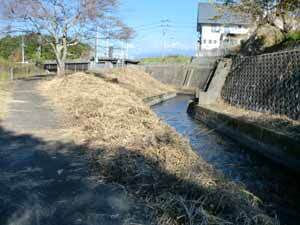 写真:水門下流水路1