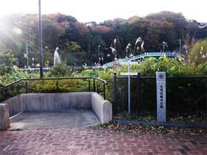 写真:親水公園入口