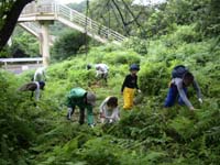 写真：7月25日活動の様子3