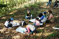 写真：10月31日活動の様子3