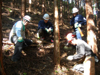 写真：11月7日活動の様子3