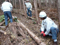 写真：11月29日活動の様子2