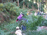 写真：11月28日活動の様子1