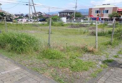 写真:沼津市今沢