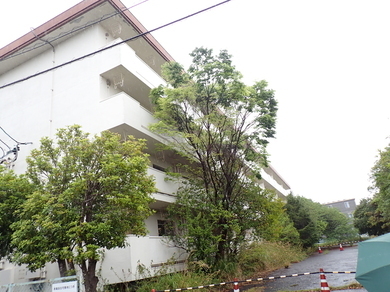 写真:静岡市葵区瀬名一丁目200番455