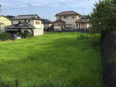 写真:掛川市宮脇、薗ヶ谷