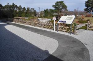 写真:ふじのくに茶の都ミュージアムの歩道