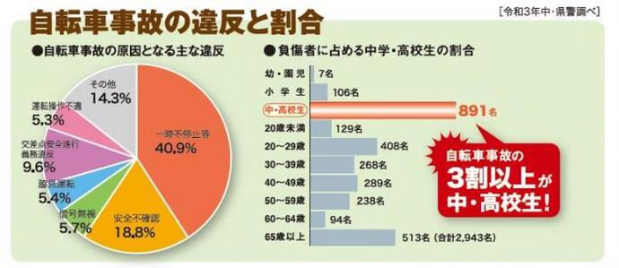 グラフ：自転車事故の違反と割合