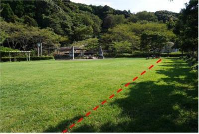 写真:セントオーガスティン植栽1年後