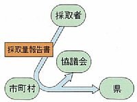 イラスト：採取量報告の流れ