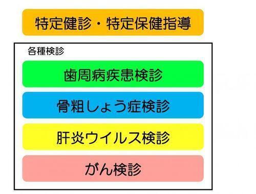 図解：特定健診・特定保健指導　各種検診：歯周病疾患検診、骨粗しょう症検診、肝炎ウイルス検診、がん検診