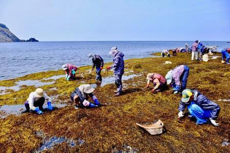 写真：海と日本PROJECT in 静岡県賞（準特選）