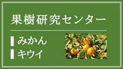 果樹研究センター（みかん・キウイ）（外部リンク・新しいウィンドウで開きます）