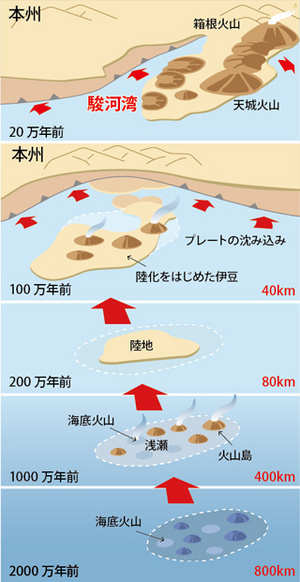 イラスト：プレート移動による駿河湾の誕生の流れ図