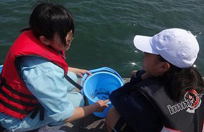 写真:稚魚の放流イメージ
