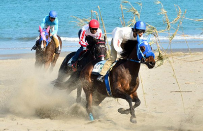 写真:さがら草競馬