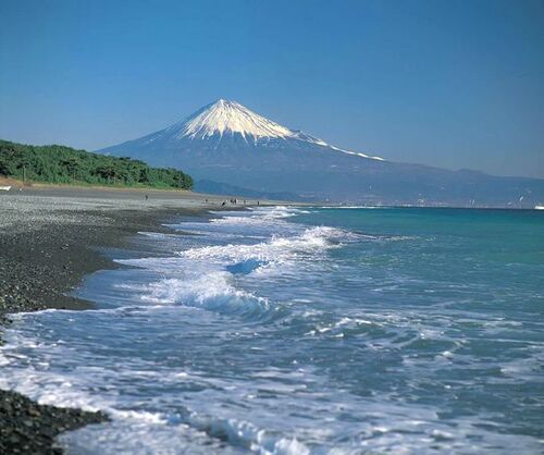 写真：三保海岸景観