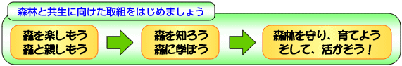 図解：森林と共生に向けた取組をはじめましょう　森を楽しもう森と親しもう→森を知ろう森に学ぼう→森林を守り、育てようそして、生かそう！