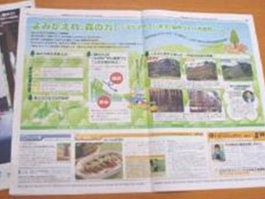 写真:県民だより よみがえれ森の力