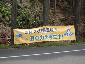 写真:木に設置された横断幕