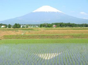 写真：ほくすん地域の水田