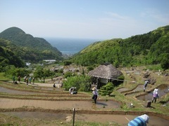 写真:松崎町石部の棚田