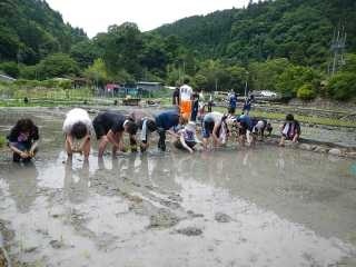 写真：280705靜甲田植え