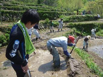 写真：H24石部あぜ塗り