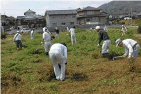 写真:草刈り