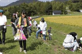 写真:彼岸花の植栽