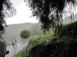 写真:突然の豪雨で作業は中止に