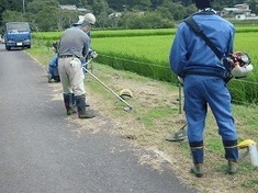 写真:草刈り