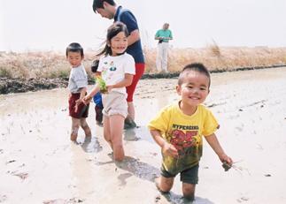 写真:田植え