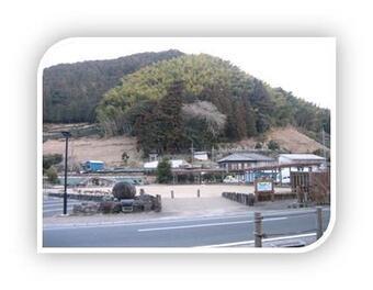 写真:神明神社の梅林植栽地全景