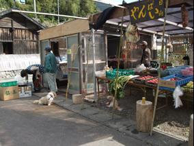 写真:やんばい2