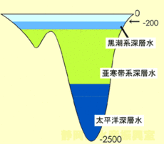 イラスト:黒潮系深層水、亜寒帯系深層水、太平洋深層水