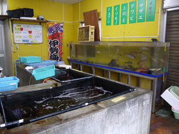 写真:水槽には活きのいいイセエビやサザエが